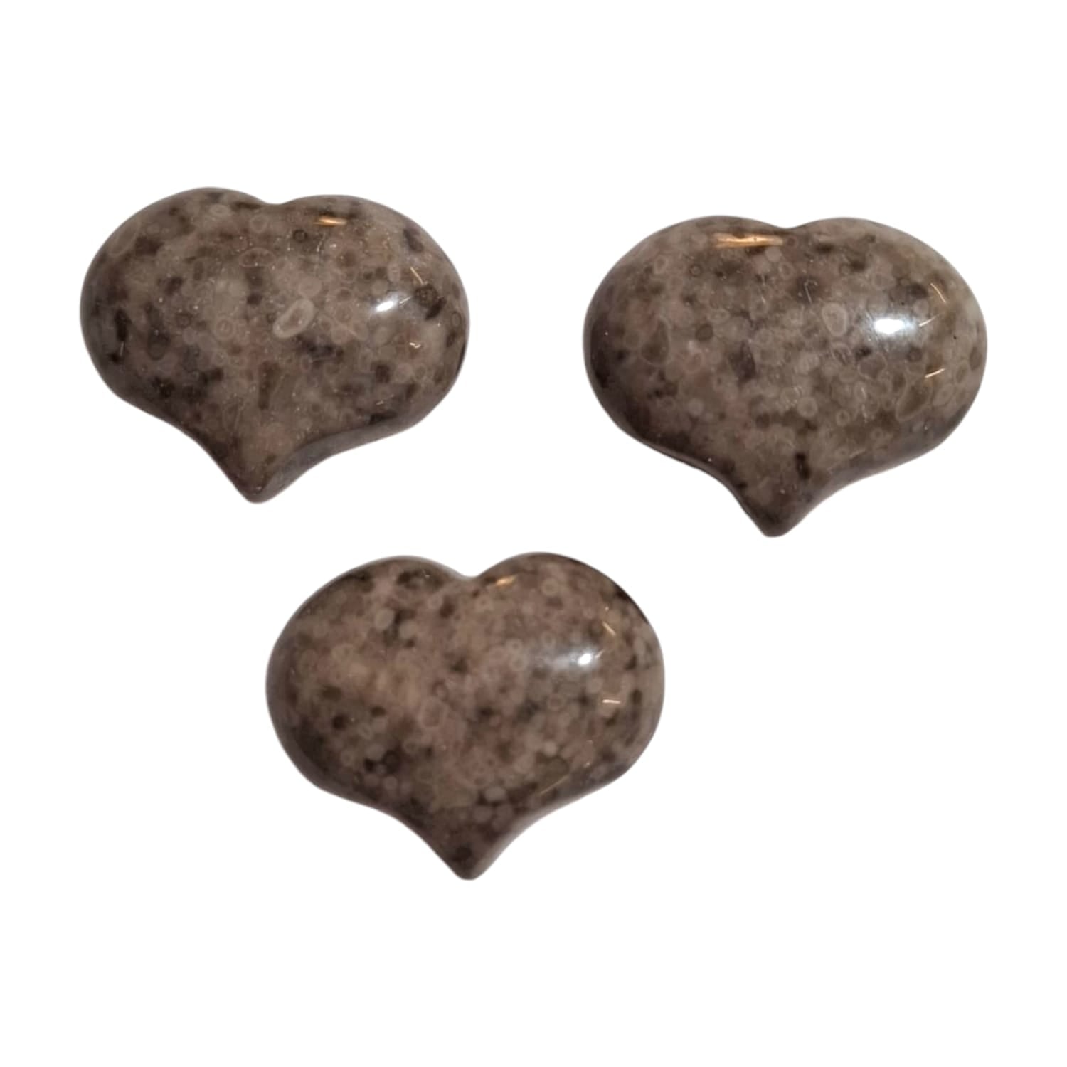 A small, polished puff heart crafted by GeoFossils from crinoid fossil stone, featuring a natural mix of earthy tones, such as grey, beige, and off-white, with visible fossilised patterns and shapes resembling ancient marine life. The heart has a smooth, rounded shape, showcasing the intricate, preserved details of the crinoid fossils within the stone. The organic, ancient look of the crinoid fossil heart evokes a sense of history, grounding, and connection to the Earth’s past