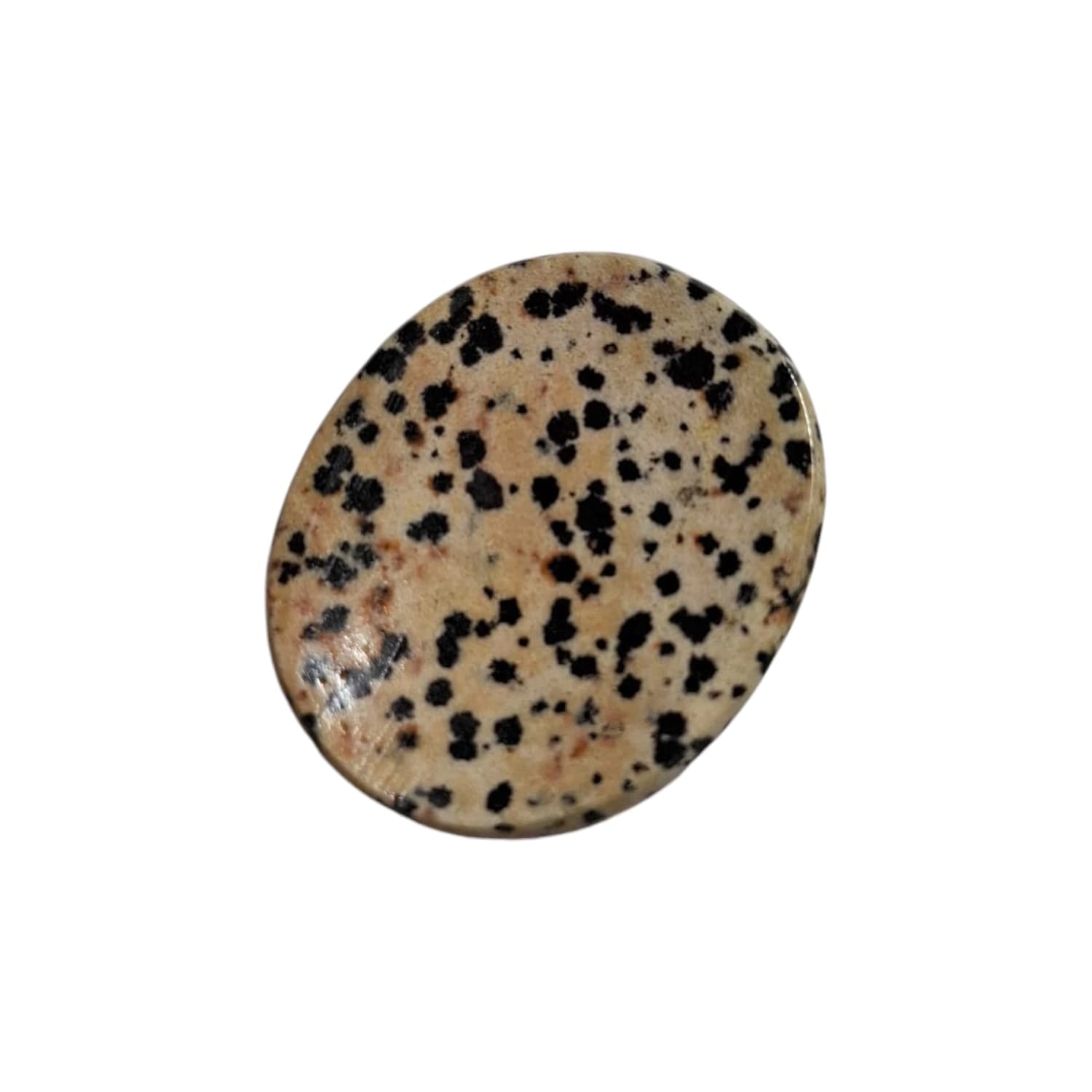 Dalmatian Jasper Worry Stone by GeoFossils – smooth, oval-shaped beige stone with black speckles, perfect for grounding, protection, and energising the Root and Sacral Chakras, associated with the Earth element.