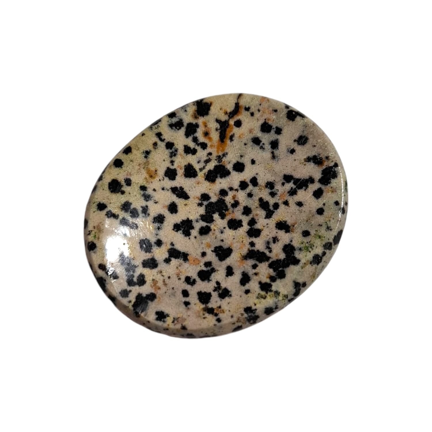 Dalmatian Jasper Worry Stone by GeoFossils – smooth, oval-shaped beige stone with black speckles, perfect for grounding, protection, and energising the Root and Sacral Chakras, associated with the Earth element.