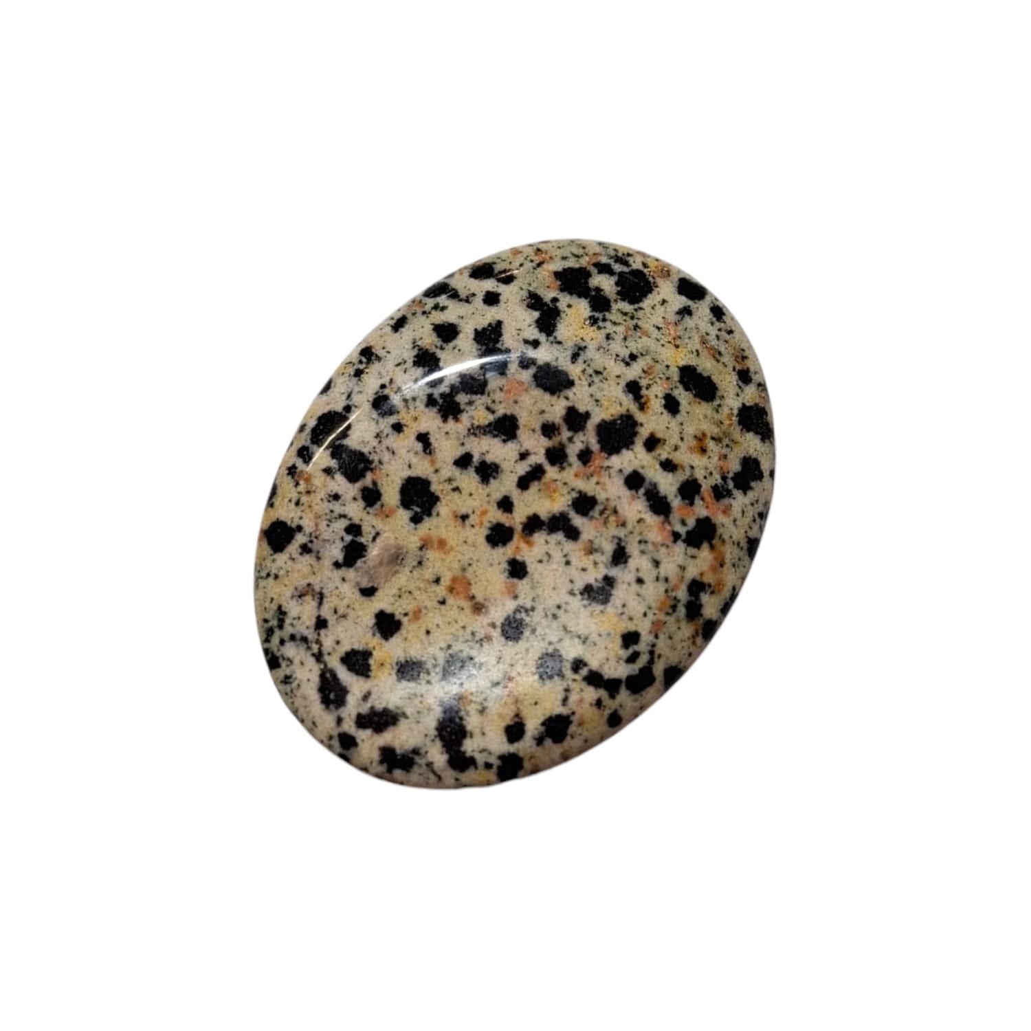 Dalmatian Jasper Thumb Stone by GeoFossils – smooth, oval stone with beige and black speckled patterns, perfect for grounding, protection, and connecting with the Root Chakra, associated with the Earth element.