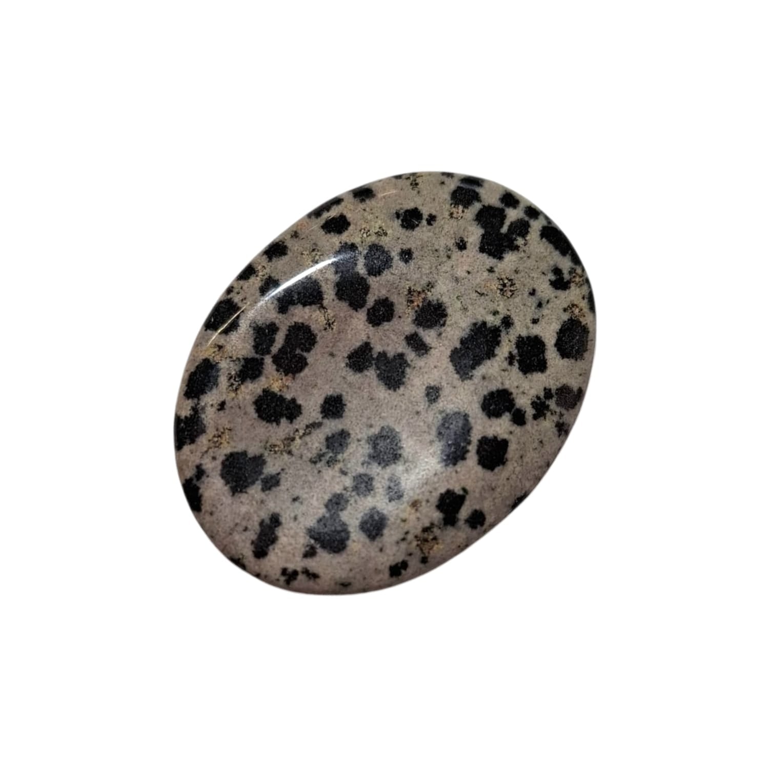 Dalmatian Jasper Thumb Stone by GeoFossils – smooth, oval stone with beige and black speckled patterns, perfect for grounding, protection, and connecting with the Root Chakra, associated with the Earth element.