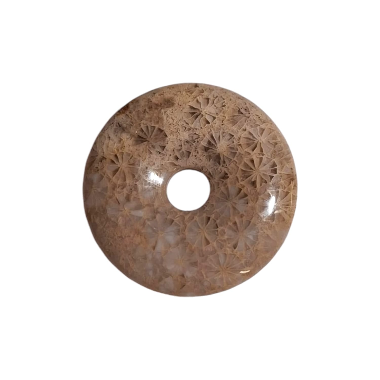 Agatised Coral Munay Ki Pi Donut by GeoFossils – smooth, circular stone with earthy tones and fossilised patterns, perfect for grounding, connecting with ancient wisdom, and aligning with the Root Chakra in Andean spiritual practices.