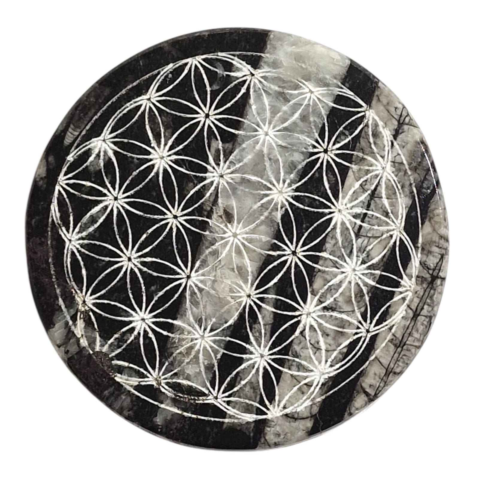 Orthoceras Flower of Life Charging Disc – Round | Grounding, Ancient Wisdom, & Spiritually Harmonising – Unique to GeoFossils