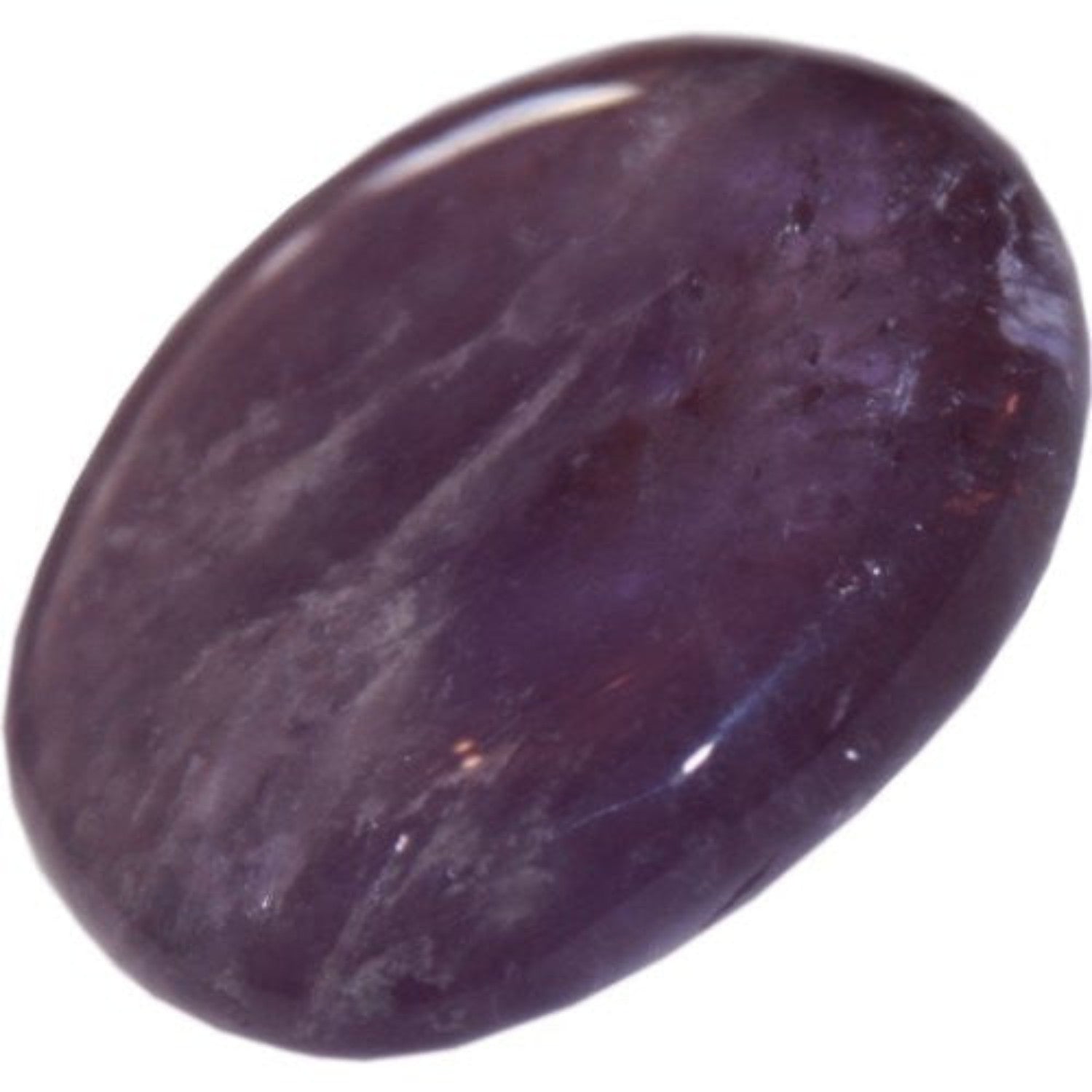 GeoFossils Amethyst Palm Stone oval shaped each is unique