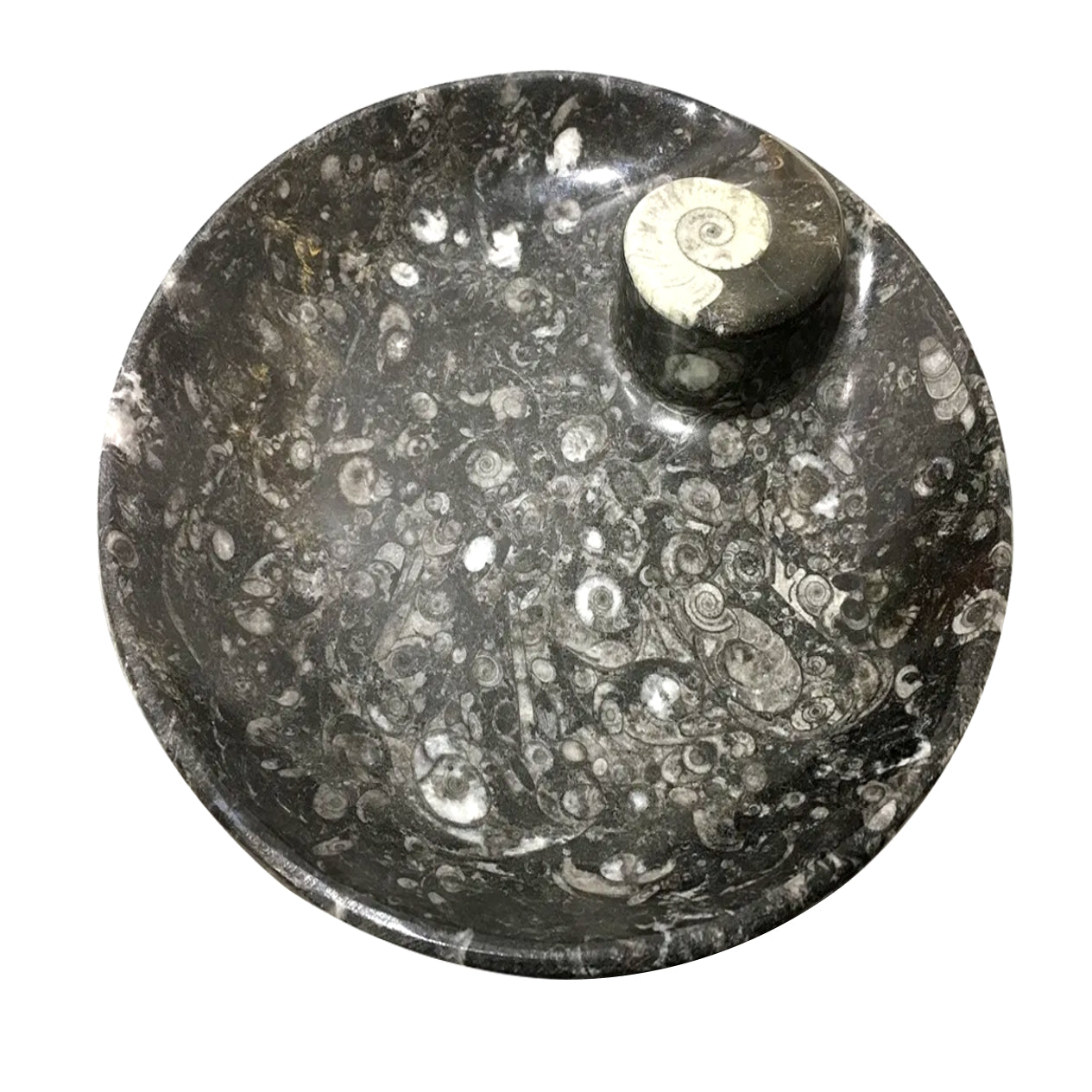 A round Goniatite charging and cleansing bowl, featuring natural spiral patterns and earthy tones of ancient ammonite fossils. The bowl is designed for charging crystals, cleansing small items, and adding a decorative touch to any space. Perfect for spiritual practices and showcasing the unique beauty of Goniatite.